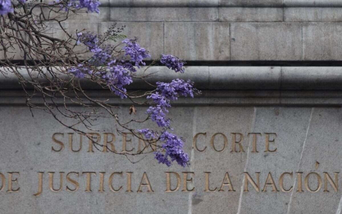 scjn 2