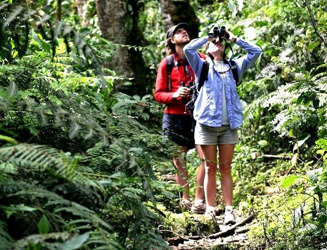 Articulo 1 Ecoturismo NIRIK