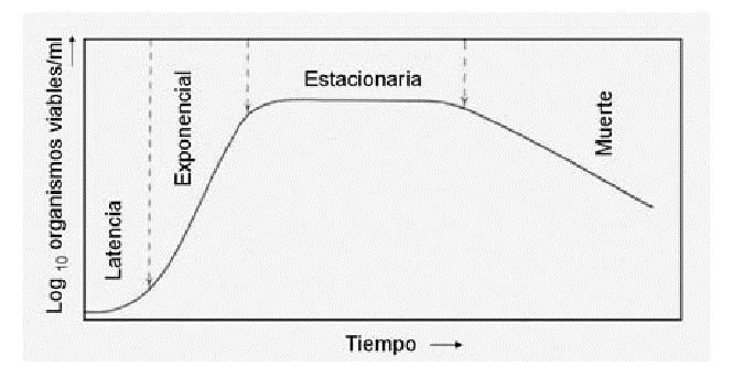 matemático2.jpg