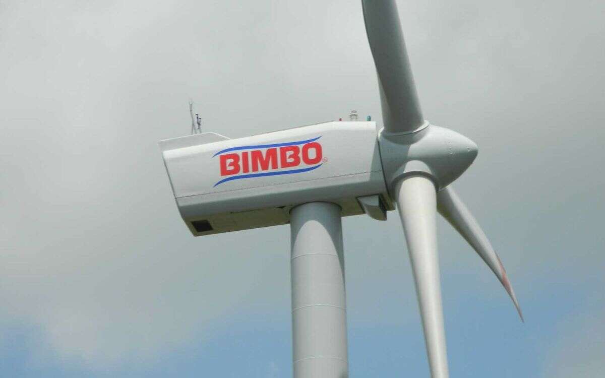 Bimbo 1