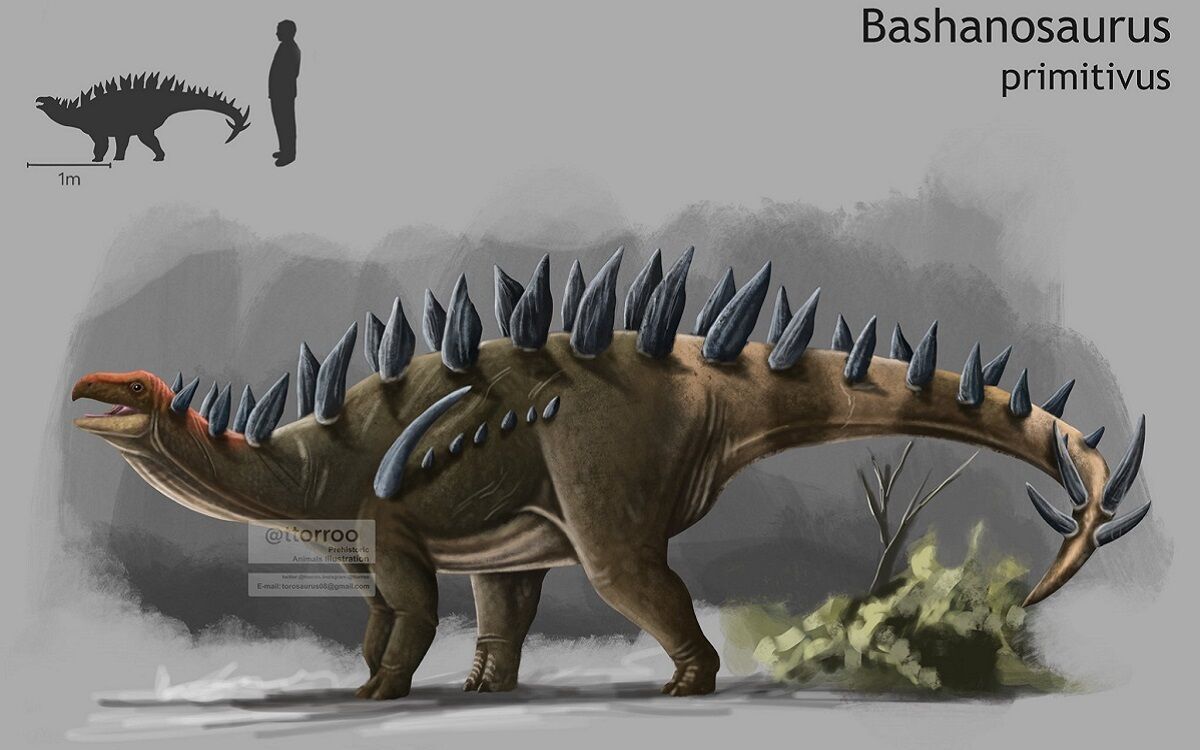 Bashanosaurus primitivus, el estegosaurio asiático más antiguo.