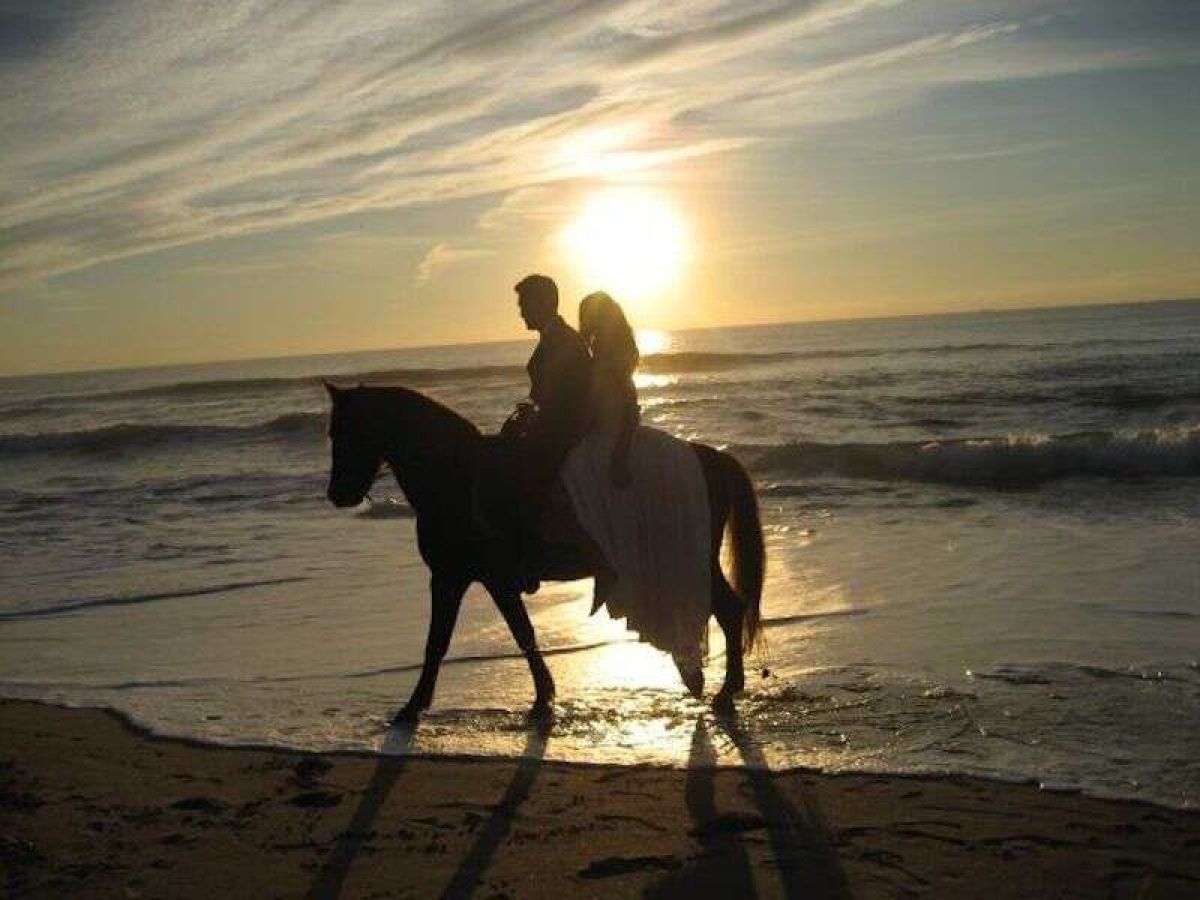 Playa 2