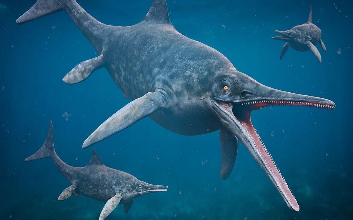 Temnodontosaurus trigonodon, el "dragón marino" más grande del Reino Unido