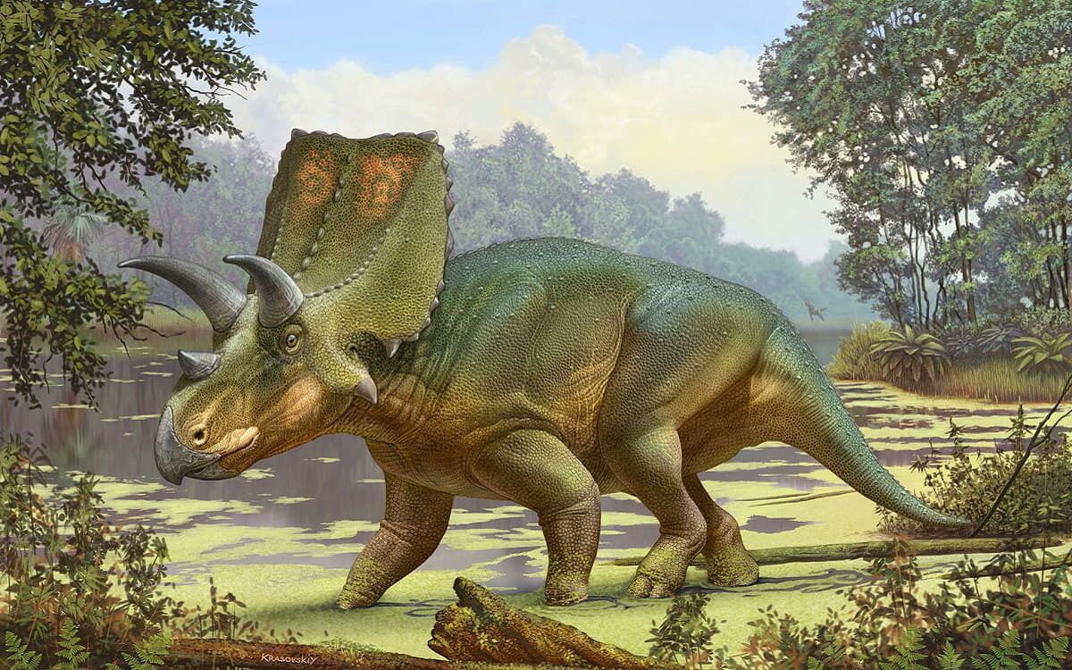 Sierraceratops turneri, un nuevo dinosaurio ceratópsido.