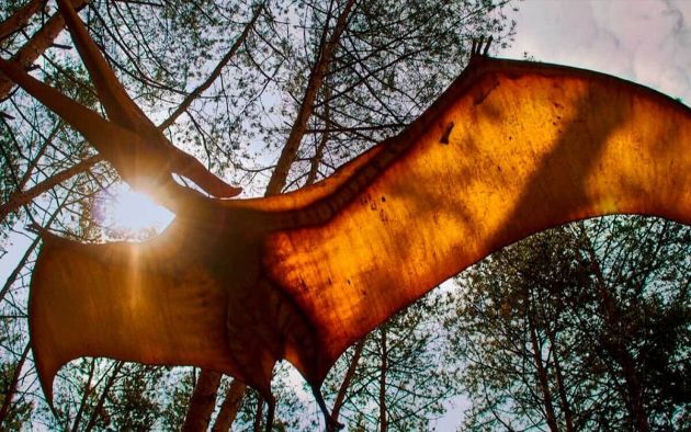 Pterodactylus antiquus, el pterodáctilo más antiguo