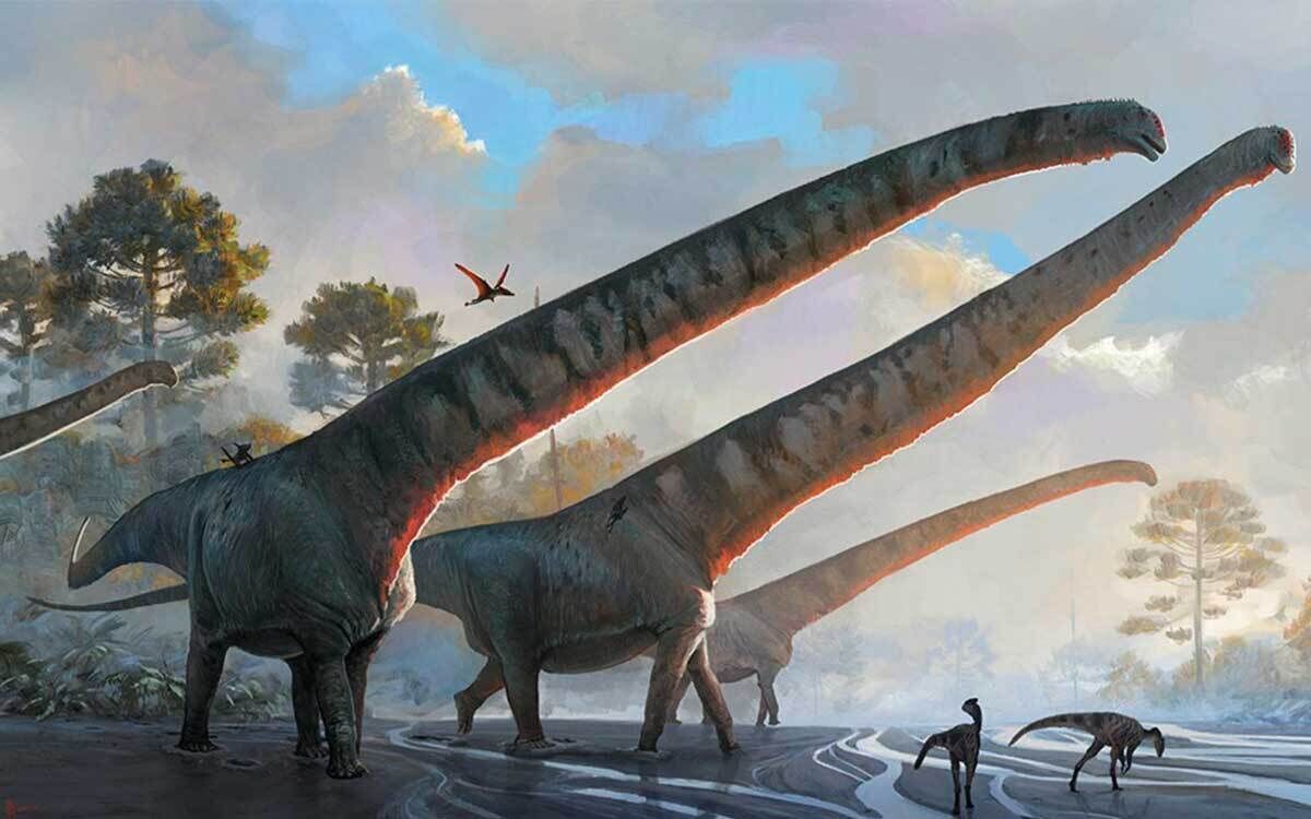 Mamenchisaurus sinocanadorum, el retorno del rey