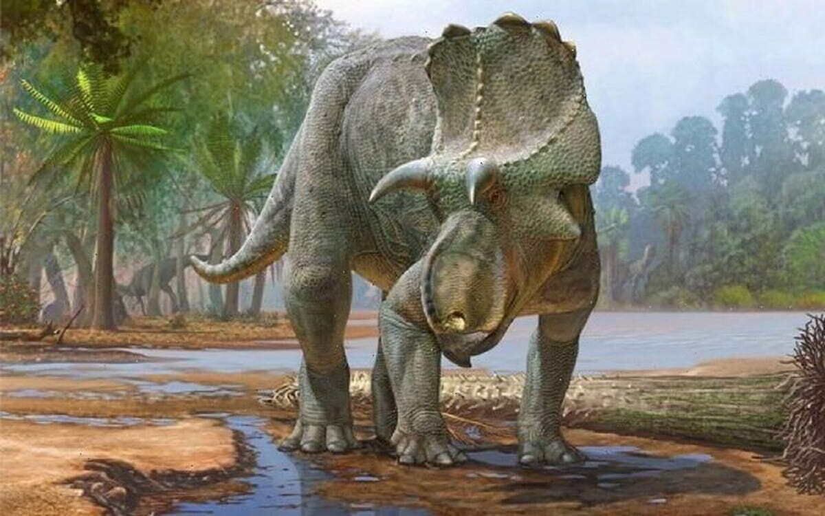 Menefeeceratops sealeyi, el dinosaurio cornudo más antiguo.