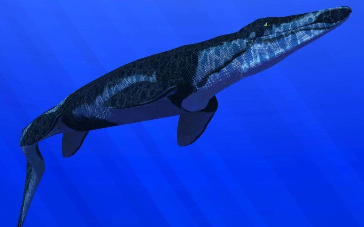 Ectenosaurus everhartorum, el nuevo mosasaurio