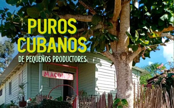 Puros cubanos de pequeños productores