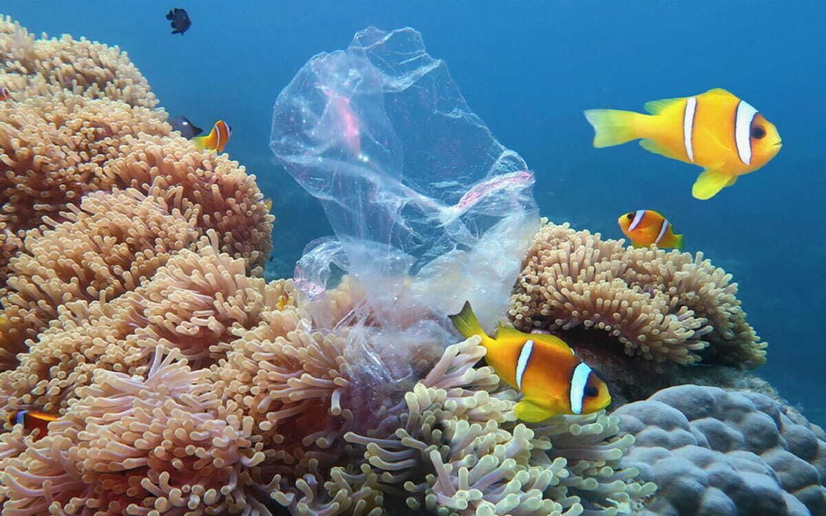 Amenaza a la vida: La polución de los oceáno. Parte 1.