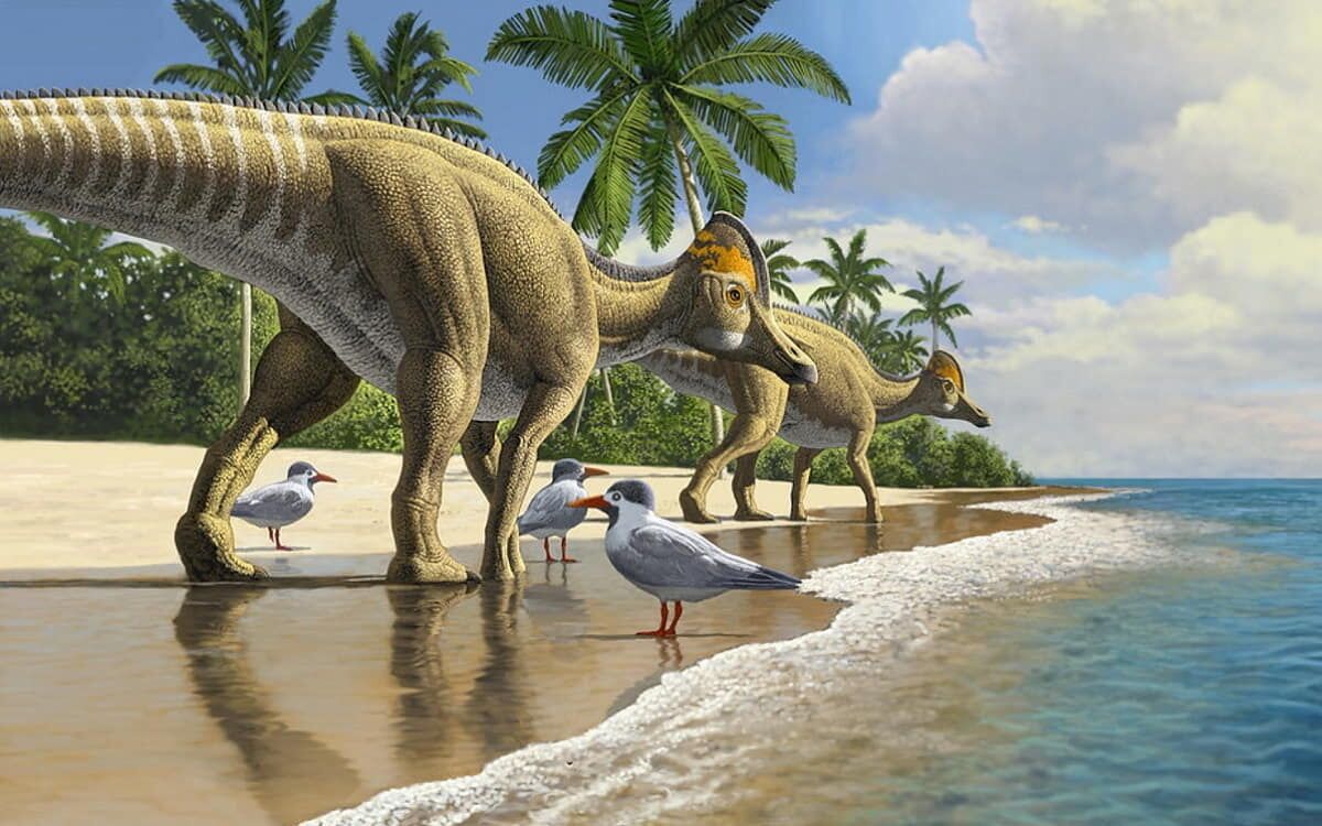 Ajnabia Odysseus, el dinosaurio que nadó un océano.