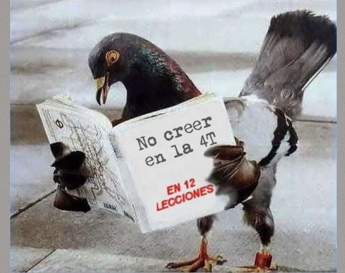 Inocentes palomitas que se dejan engañar