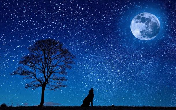 Luna Azul y Perseidas este mes.