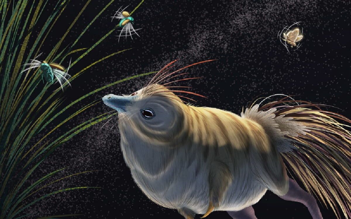 Los dinosaurios también amaban vivir de noche.