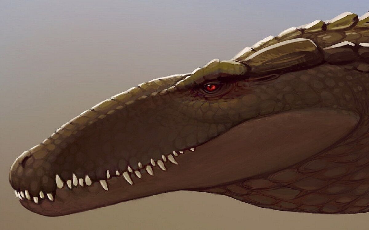 Sebecus icaeorhinus, ¿el dinosaurio sobreviviente?