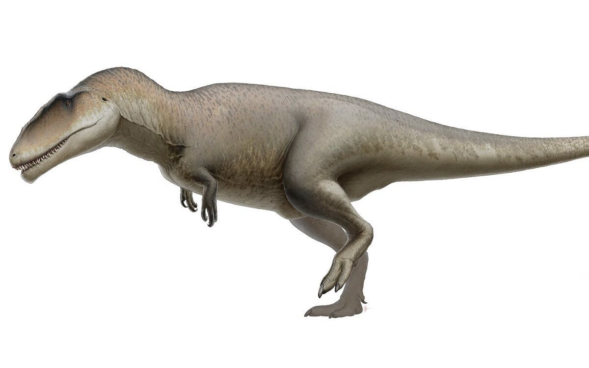 Ulughbegsaurus uzbekistanensis, un nuevo dinosaurio carnívoro gigante