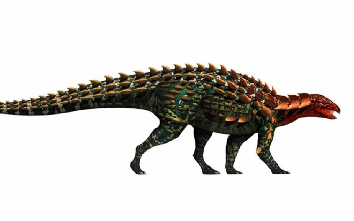 Yuxisaurus kopchicki, un dinosaurio espinoso.