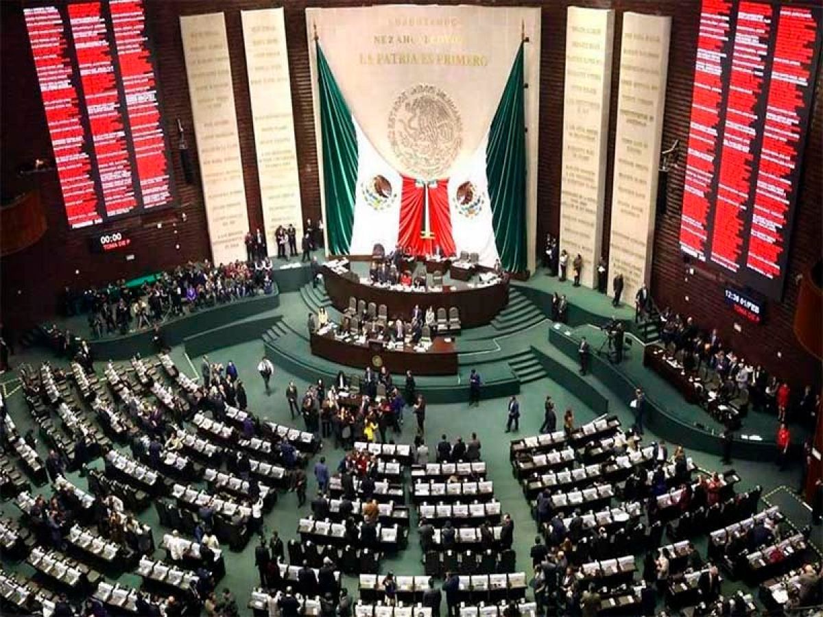 Carta abierta a la Cámara de Diputados de México y a la Sociedad Mexicana